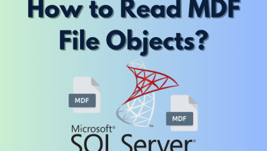 How to Read MDF File Objects