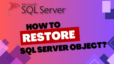 How to restore SQL Server object