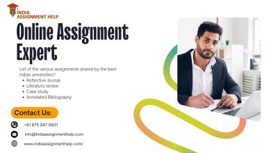 Assignment Writing Under the Guidance Of Experts